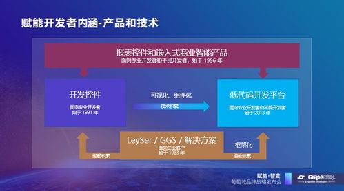 葡萄城發布新使命 賦能開發者，驅動業務創新