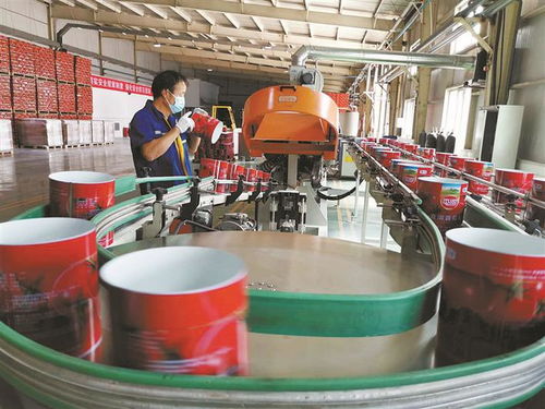 防疫不松勁 生產(chǎn)加速度 技術(shù)開(kāi)發(fā) 三線并進(jìn)，筑牢發(fā)展根基